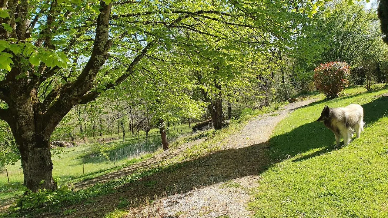 Pensionat Domaine Du Cardou Hotell Puy-lʼÉvêque Frankrike