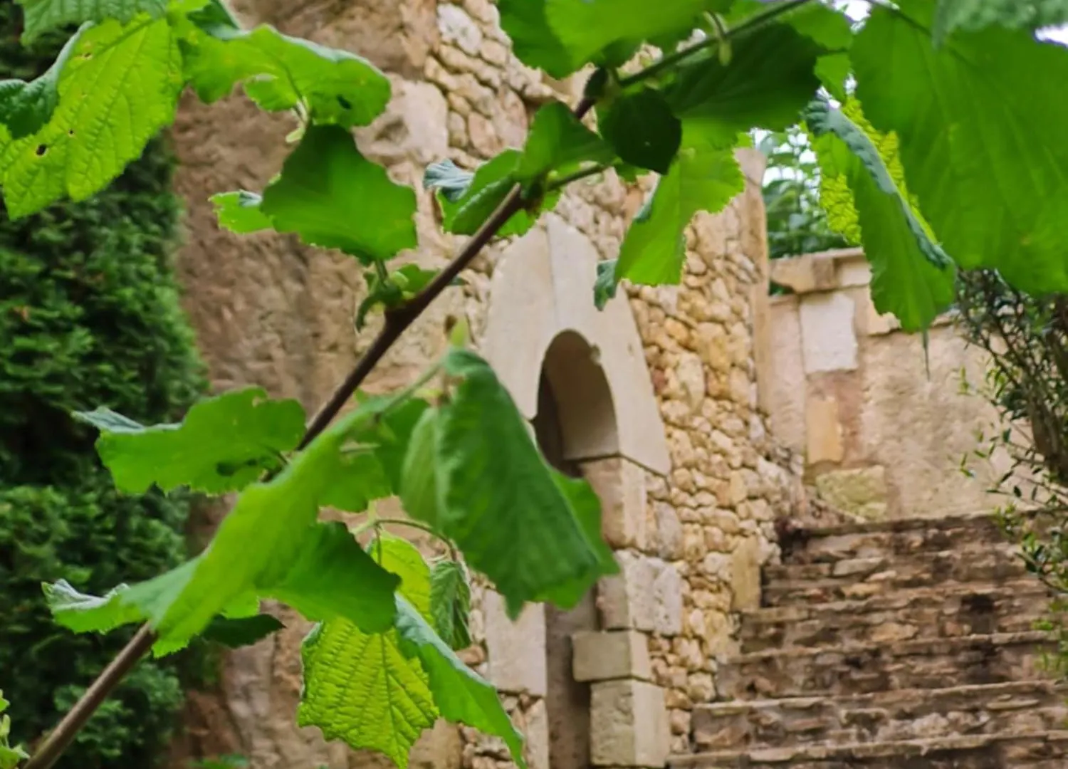 Domaine Du Cardou Hotell Puy-lʼÉvêque Pensionat