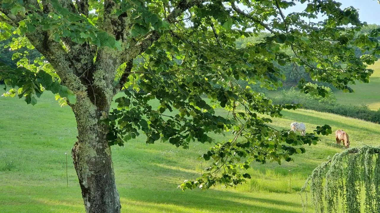 Domaine Du Cardou Hotel Puy-l'Eveque Guest house